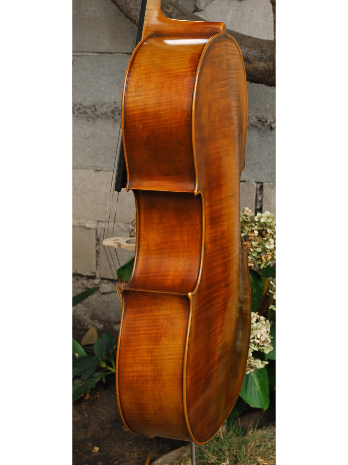 Thomas Hoyer - 4/4 Cello