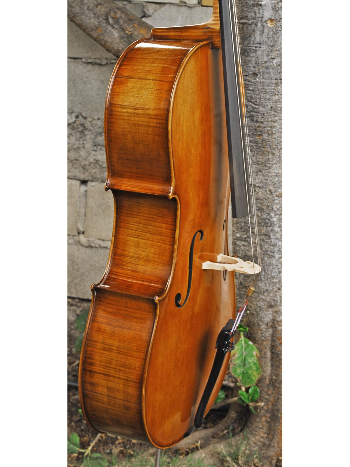 Tomasz Kowalski Workshop 7/8 Cello