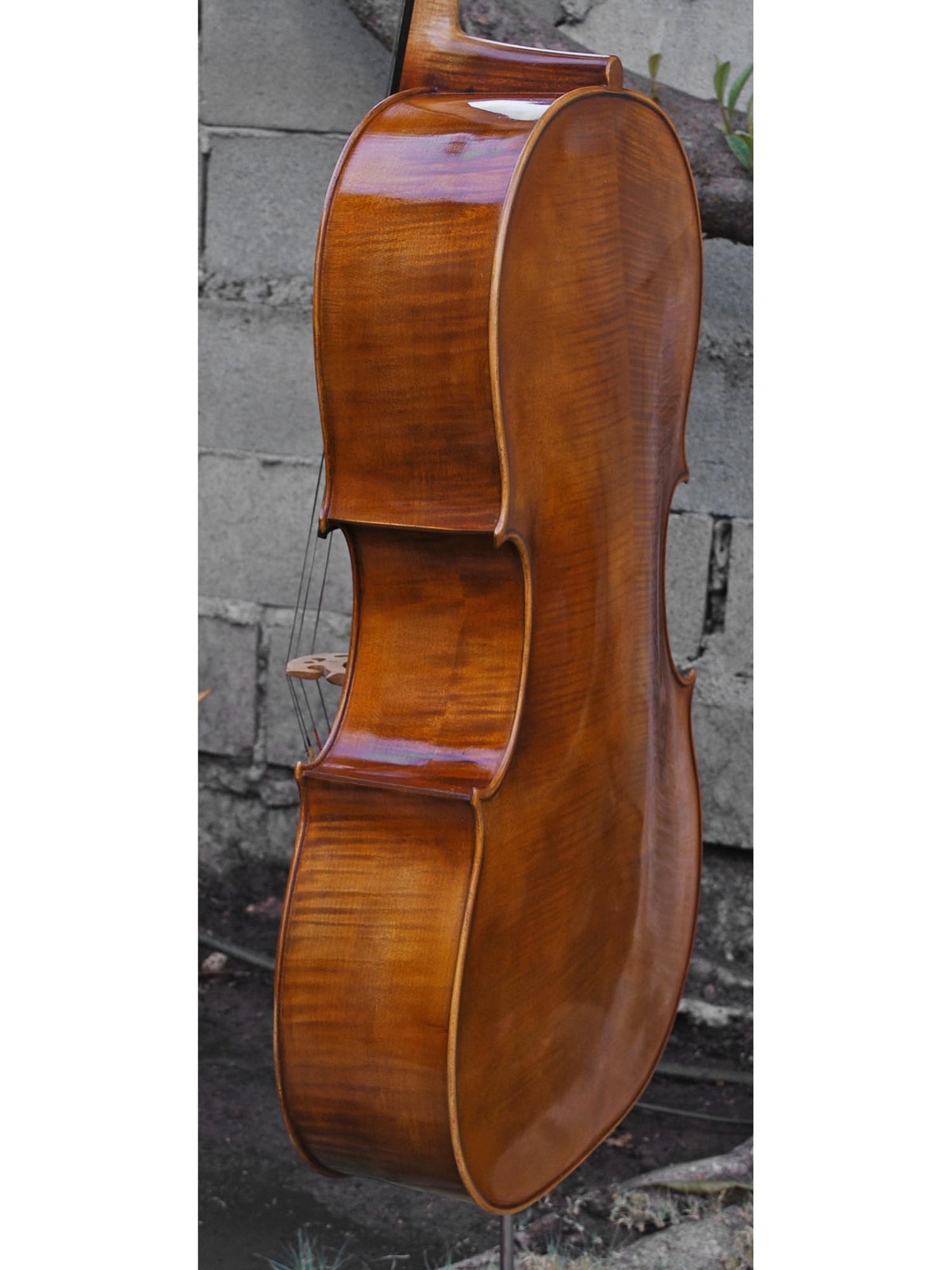 Andrzej Glodek Master 7/8 Cello (A)
