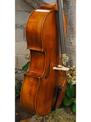Thomas Hoyer - 4/4 Cello