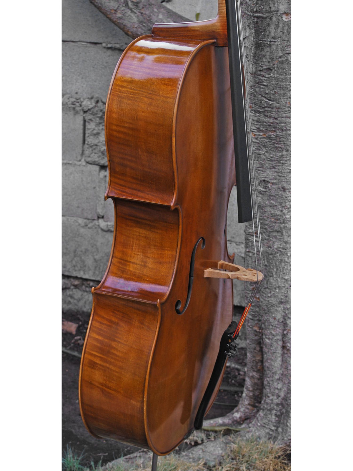 Andrzej Glodek Master 7/8 Cello (A)