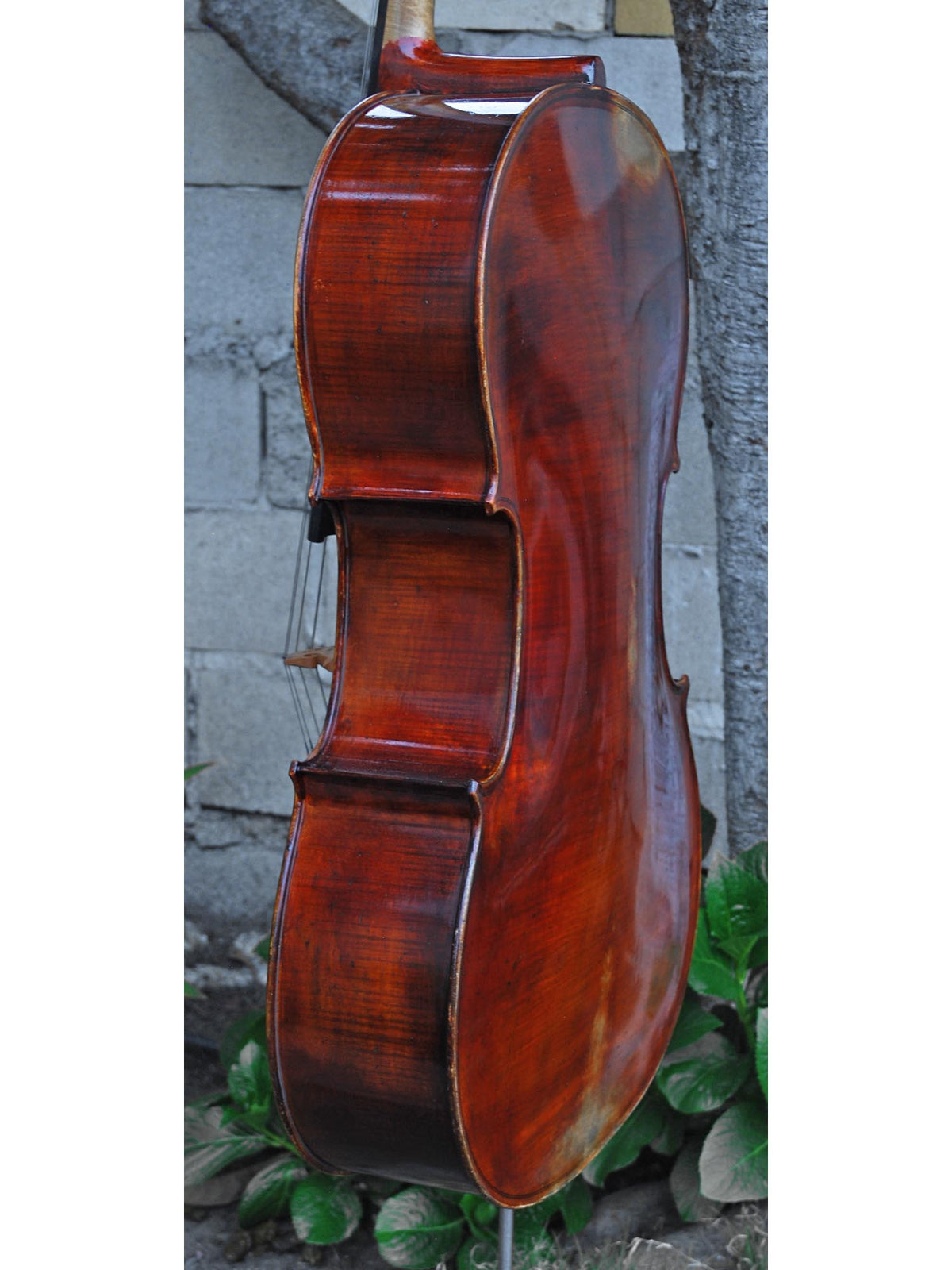 Michael Gerlach 3/4 Cello (183)