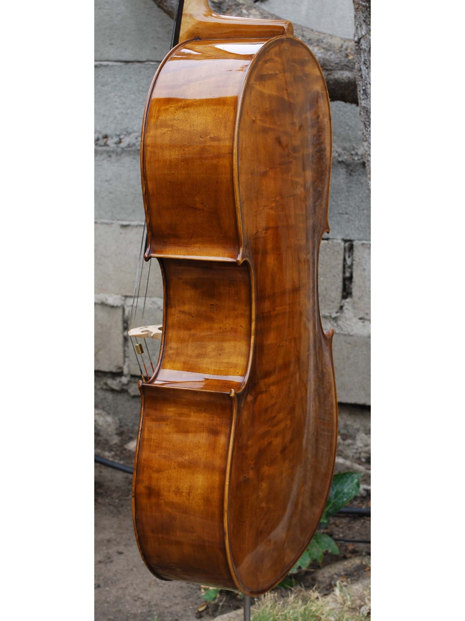 Topa Workshop Birdseye Maple 'Stradivari' 4/4 Cello