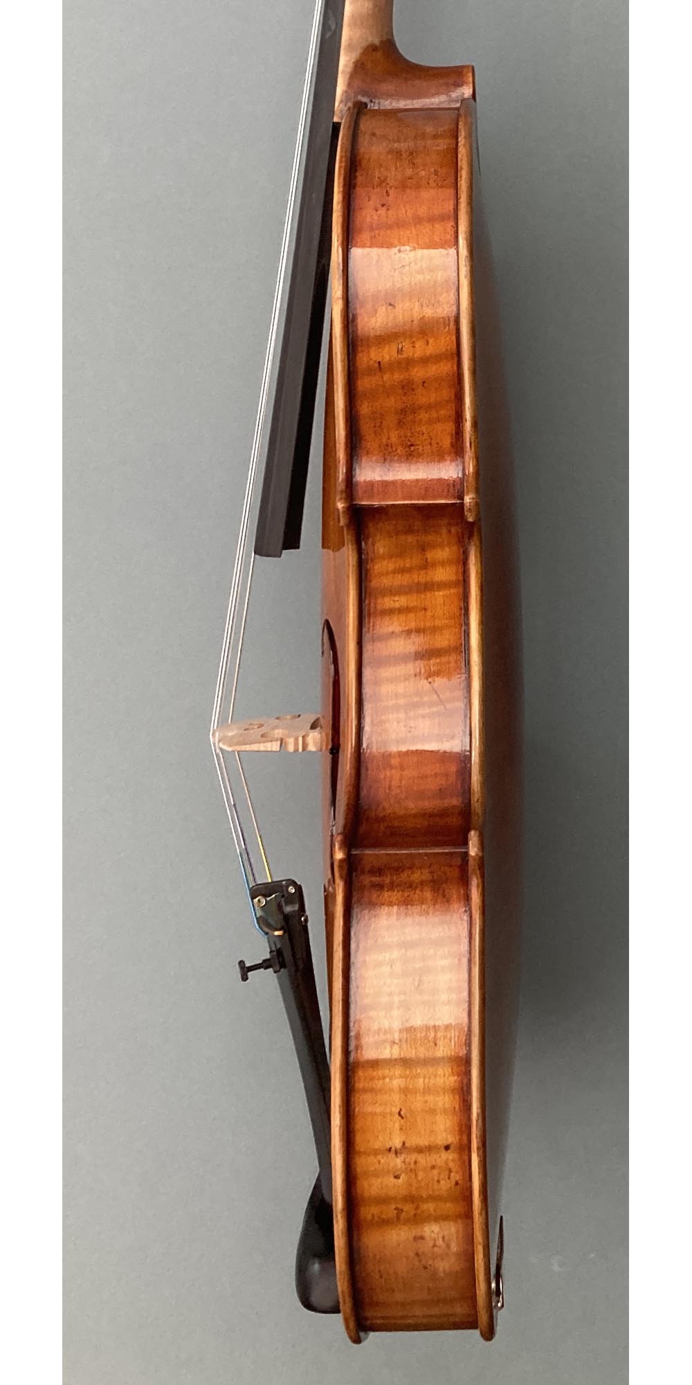 Eastman 30th Anniversary model 830 4/4 Violin