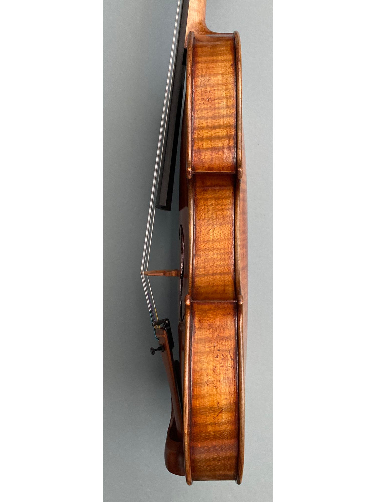 Eastman 30th Anniversary model 830 4/4 Violin