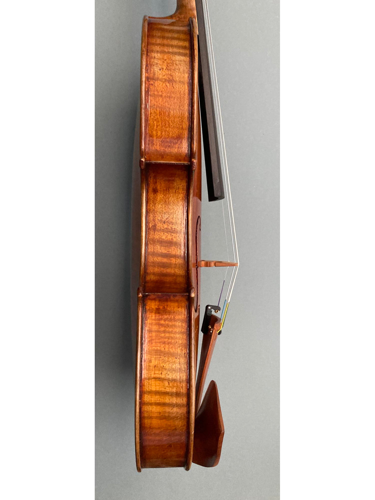 Eastman 30th Anniversary model 830 4/4 Violin