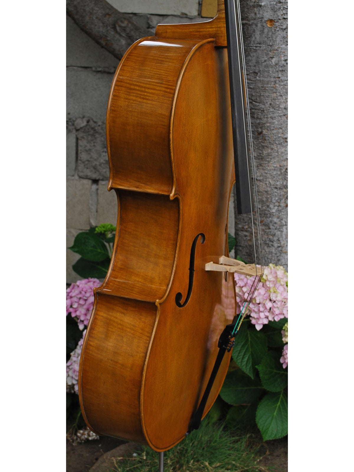 Jan Szlachtowski Master Level 'Gofriller' 4/4 Cello