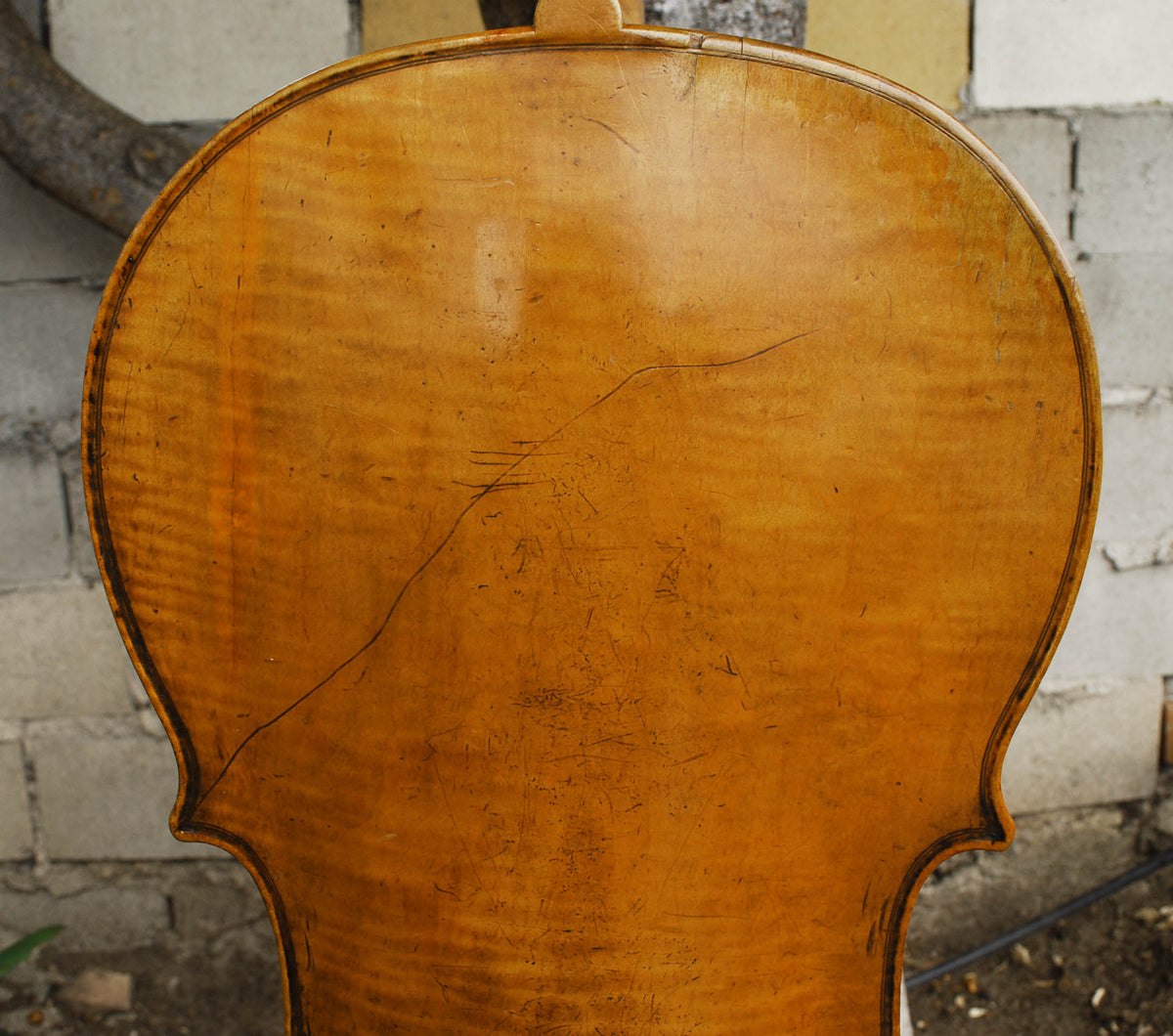 Old Cello labeled 'Ferdinandus Gagliano 1761' - 4/4 Cello