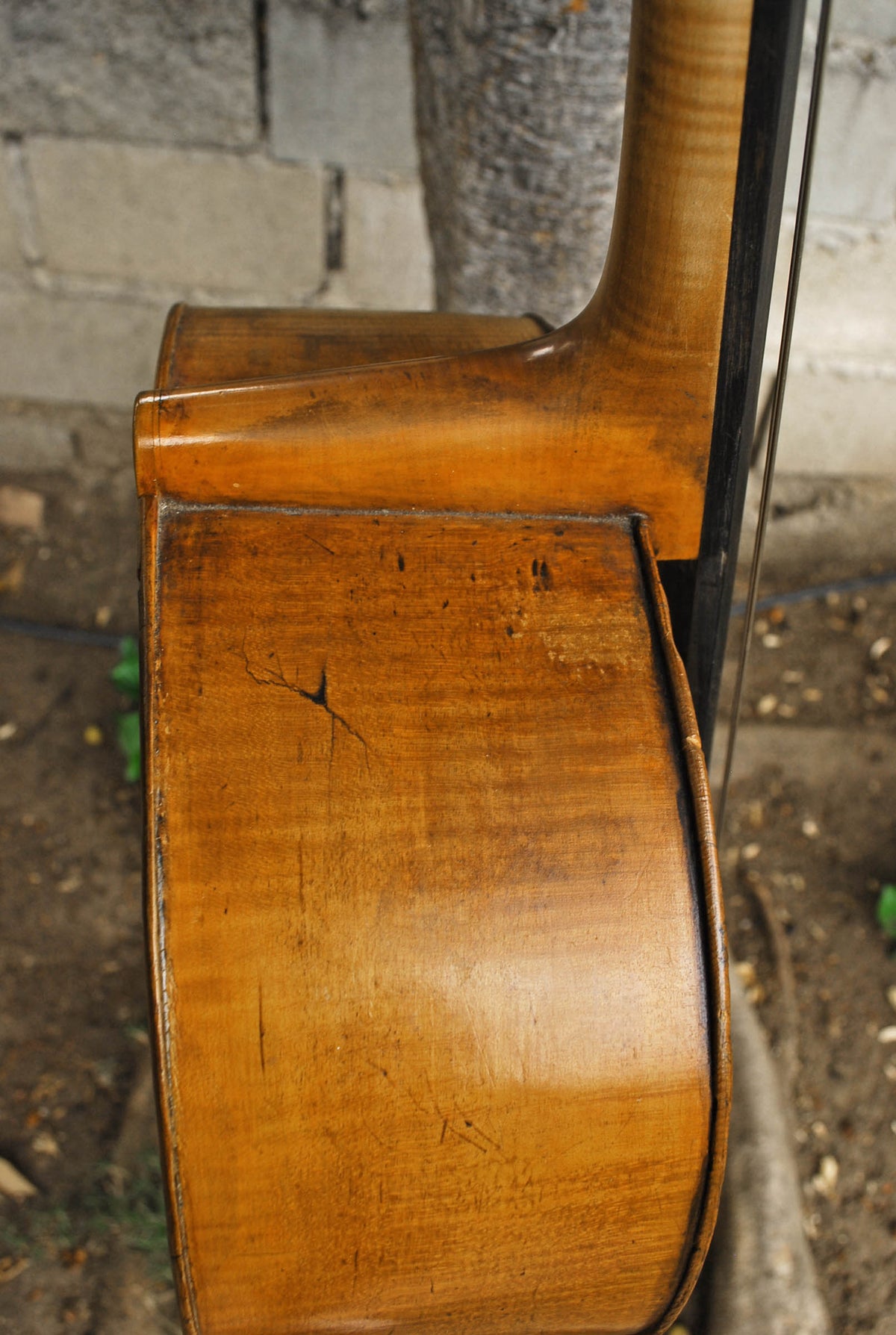 Old Cello labeled 'Ferdinandus Gagliano 1761' - 4/4 Cello
