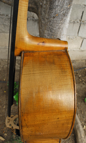 Old Cello labeled 'Ferdinandus Gagliano 1761' - 4/4 Cello