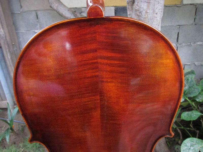 Eastman Advanced Series model 415 'Stradivarius' 1/2 Cello - Used
