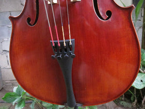 Eastman Advanced Series model 415 'Stradivarius' 1/2 Cello - Used