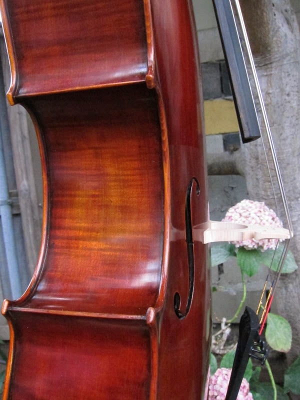 Eastman Advanced Series model 415 'Stradivarius' 1/2 Cello - Used