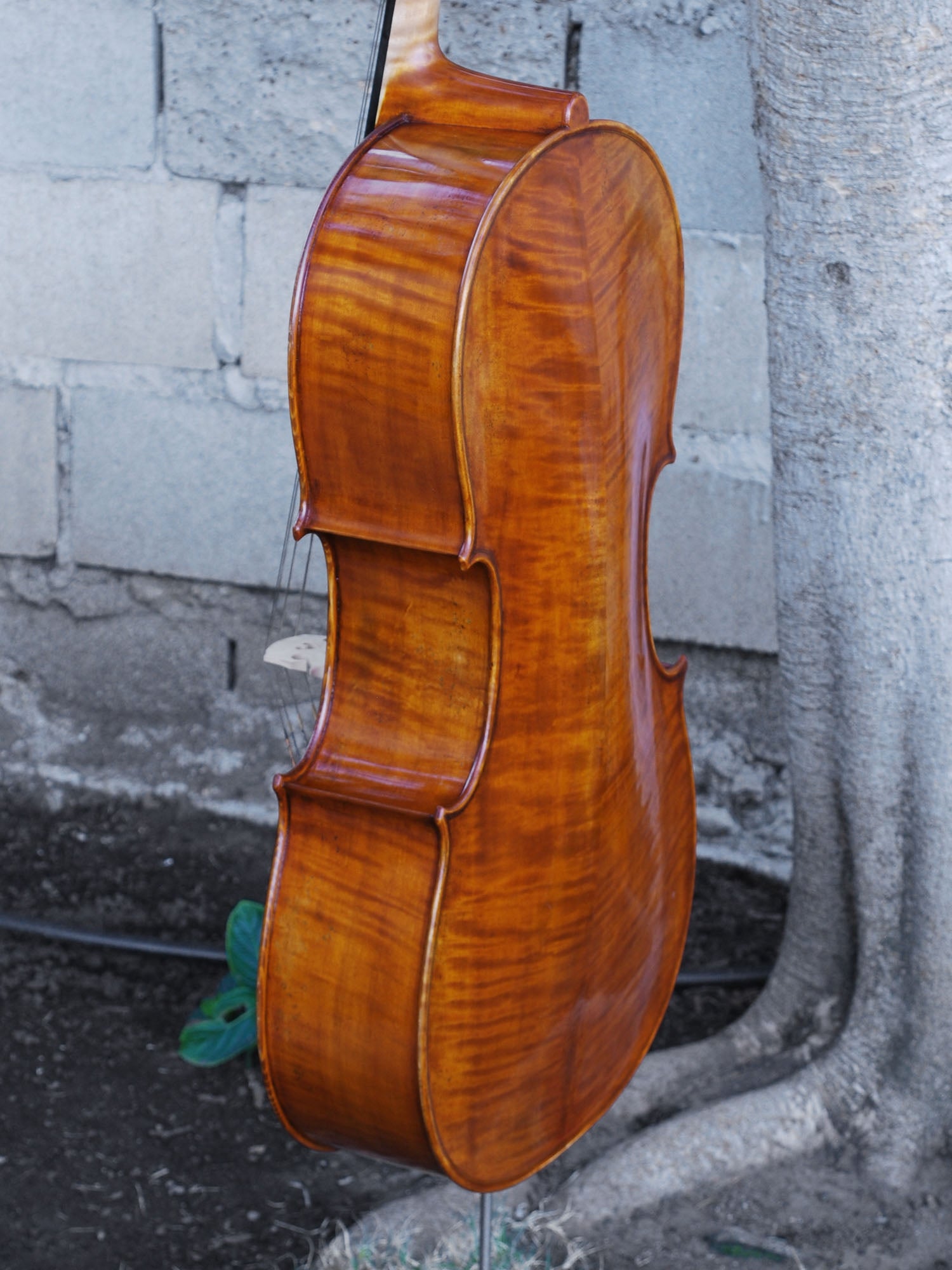 Pietro Lombardi 502 'Stradivarius' 1/2 Cello