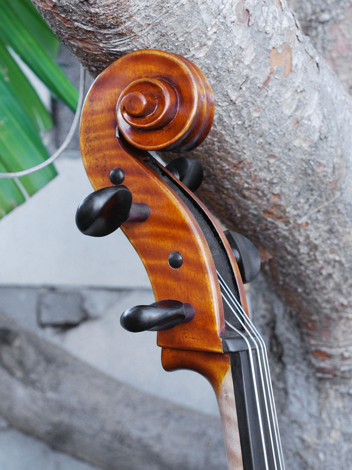 Pietro Lombardi 502 'Stradivarius' 1/2 Cello