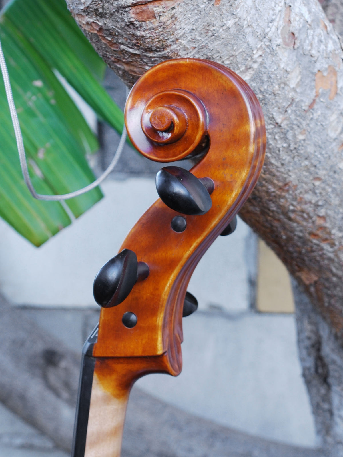 Pietro Lombardi 502 'Stradivarius' 1/2 Cello