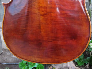 Chaconne model 500 1/2 Cello