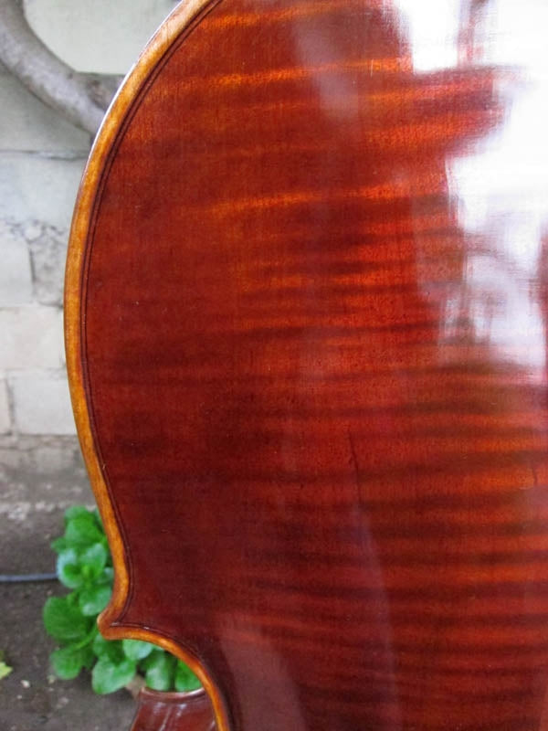 Chaconne model 500 1/2 Cello