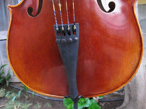 Chaconne model 500 1/2 Cello