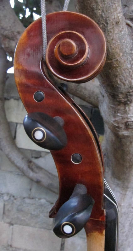 Chaconne model 500 1/2 Cello