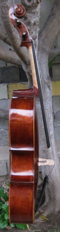 Chaconne model 500 1/2 Cello