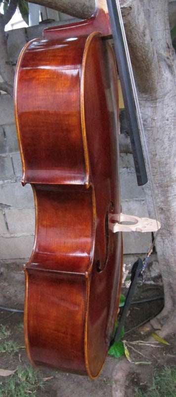 Chaconne model 500 1/2 Cello