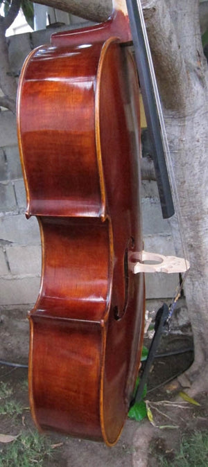 Chaconne model 500 1/2 Cello