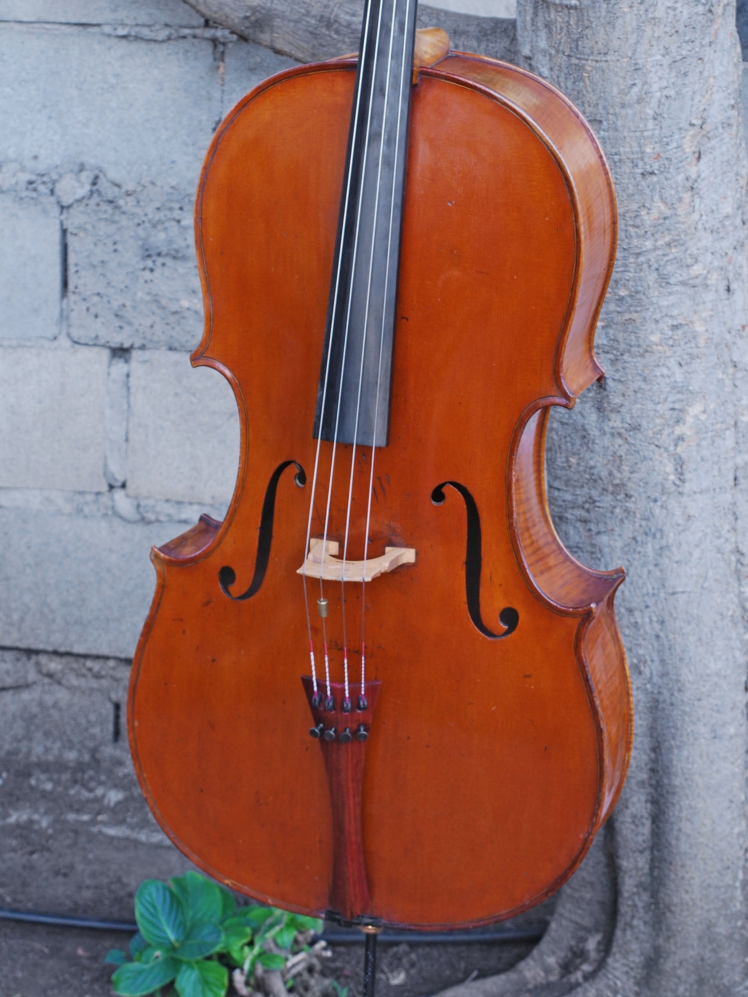 1790 Matthew Furber 4/4 Cello
