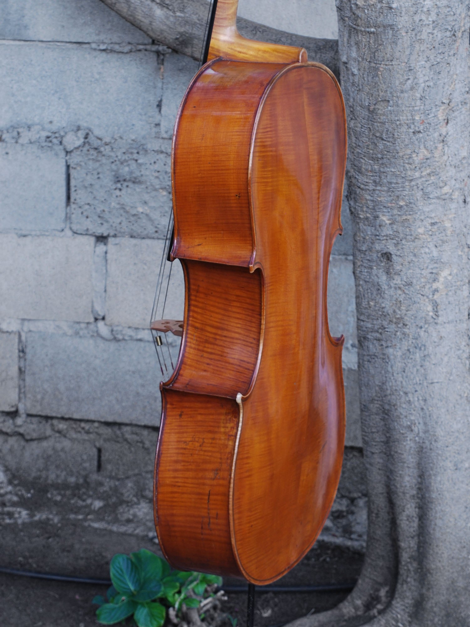 1790 Matthew Furber 4/4 Cello