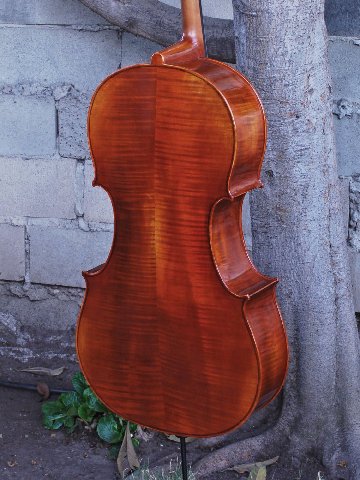 Howard Core Select 'Rocca' 4/4 Cello