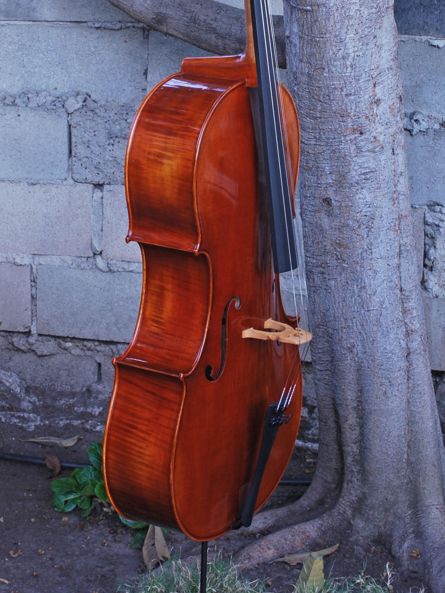 Howard Core Select 'Rocca' 4/4 Cello