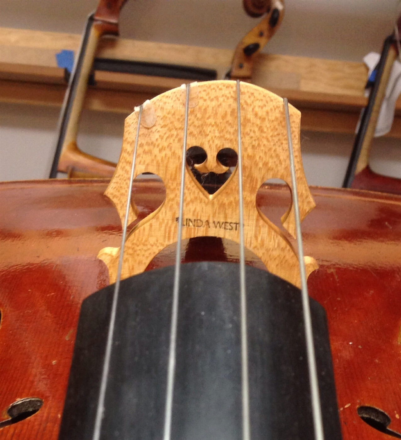 Fit New Cello Bridge