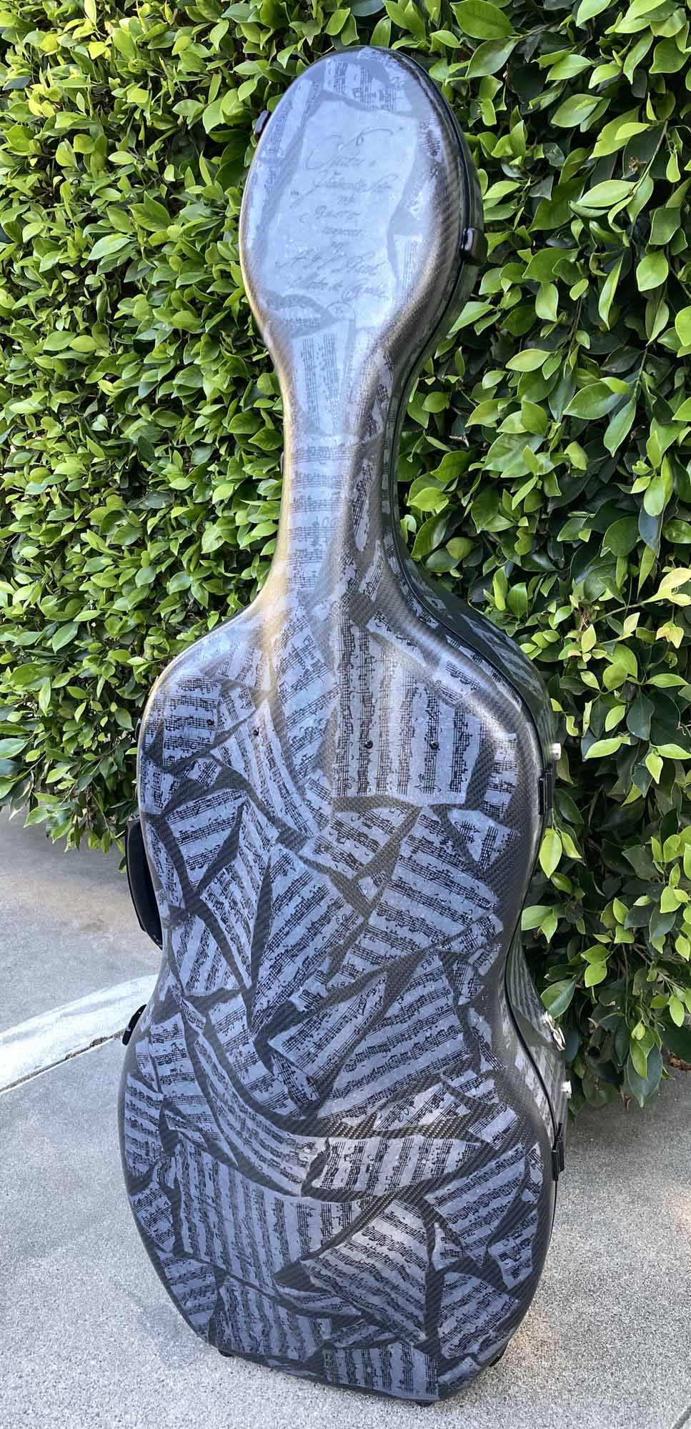 Accord Carbon Composite 'Hybrid' Cello Case