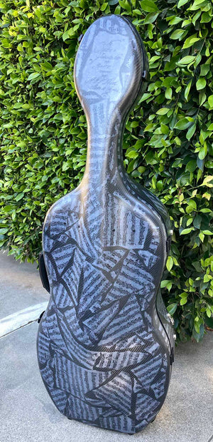 Accord Carbon Composite 'Hybrid' Cello Case