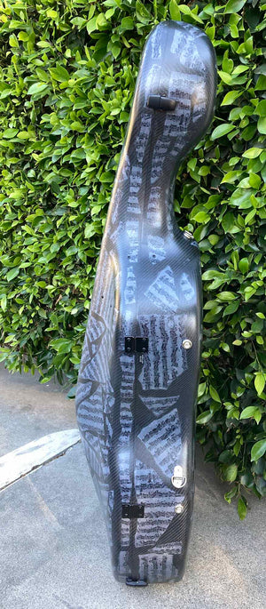 Accord Carbon Fiber 'Standard' Cello Case