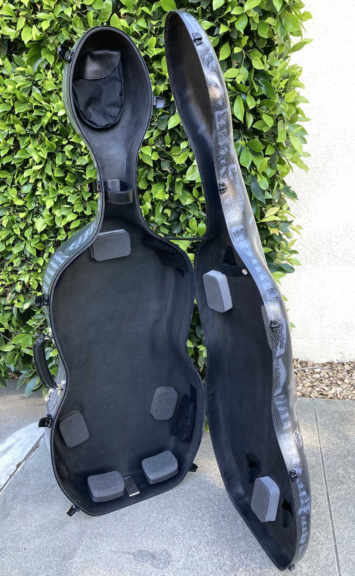 Accord Carbon Composite 'Hybrid' Cello Case