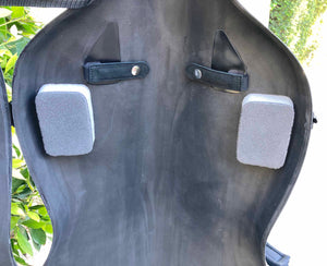 Accord Carbon Composite 'Hybrid' Cello Case