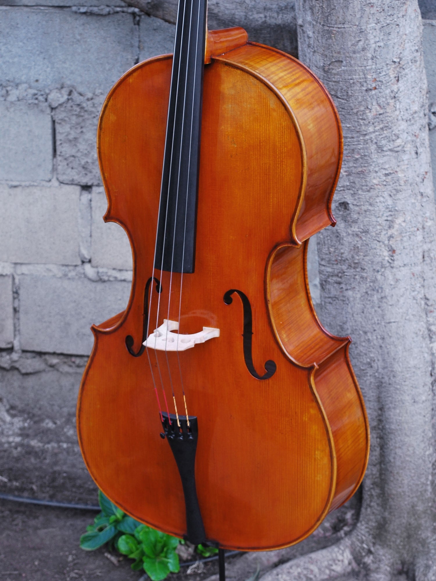 Jonathan Li  Master Grade 4/4 Cello