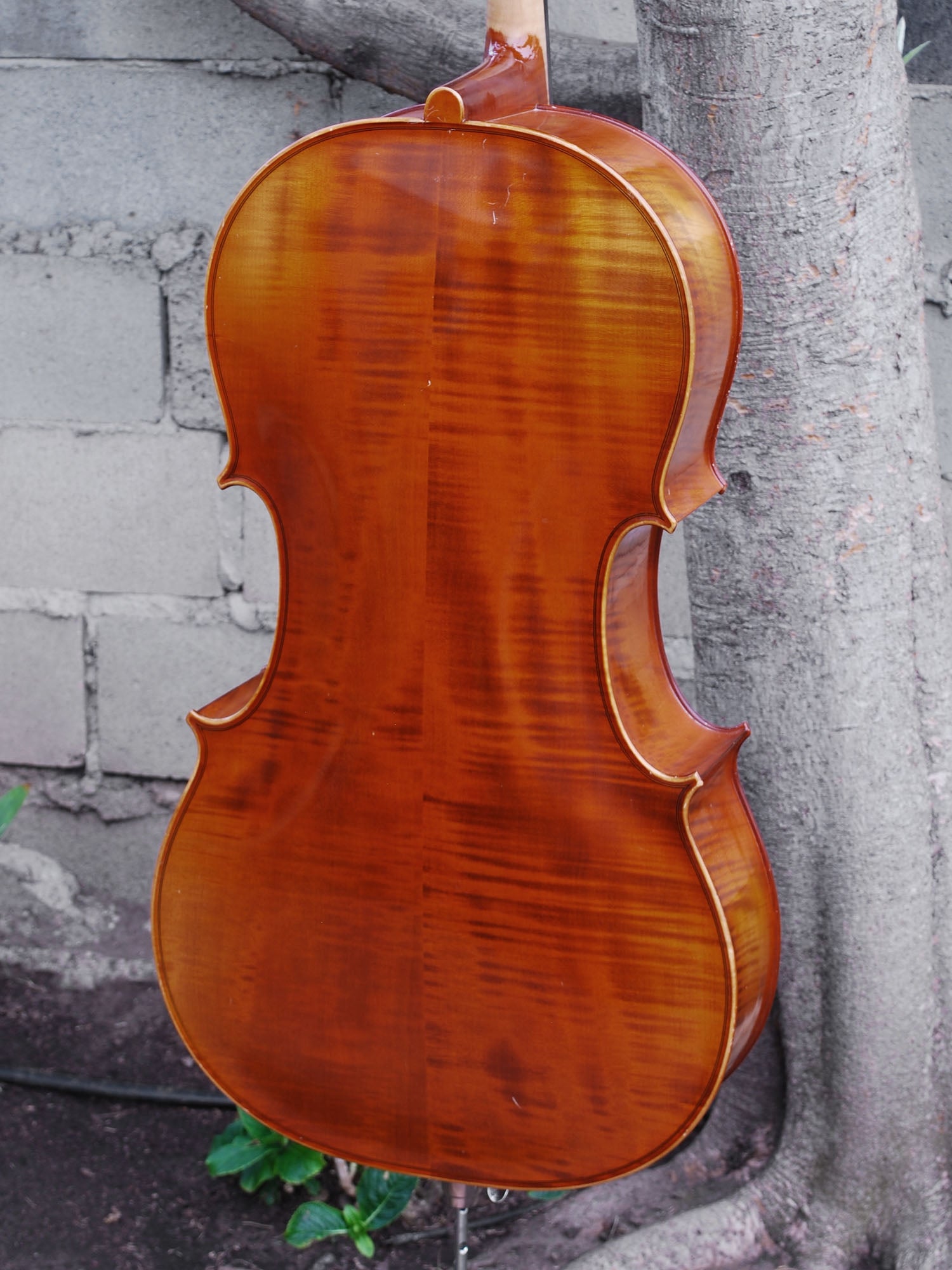 New and Used Cellos - Linda West Cellos