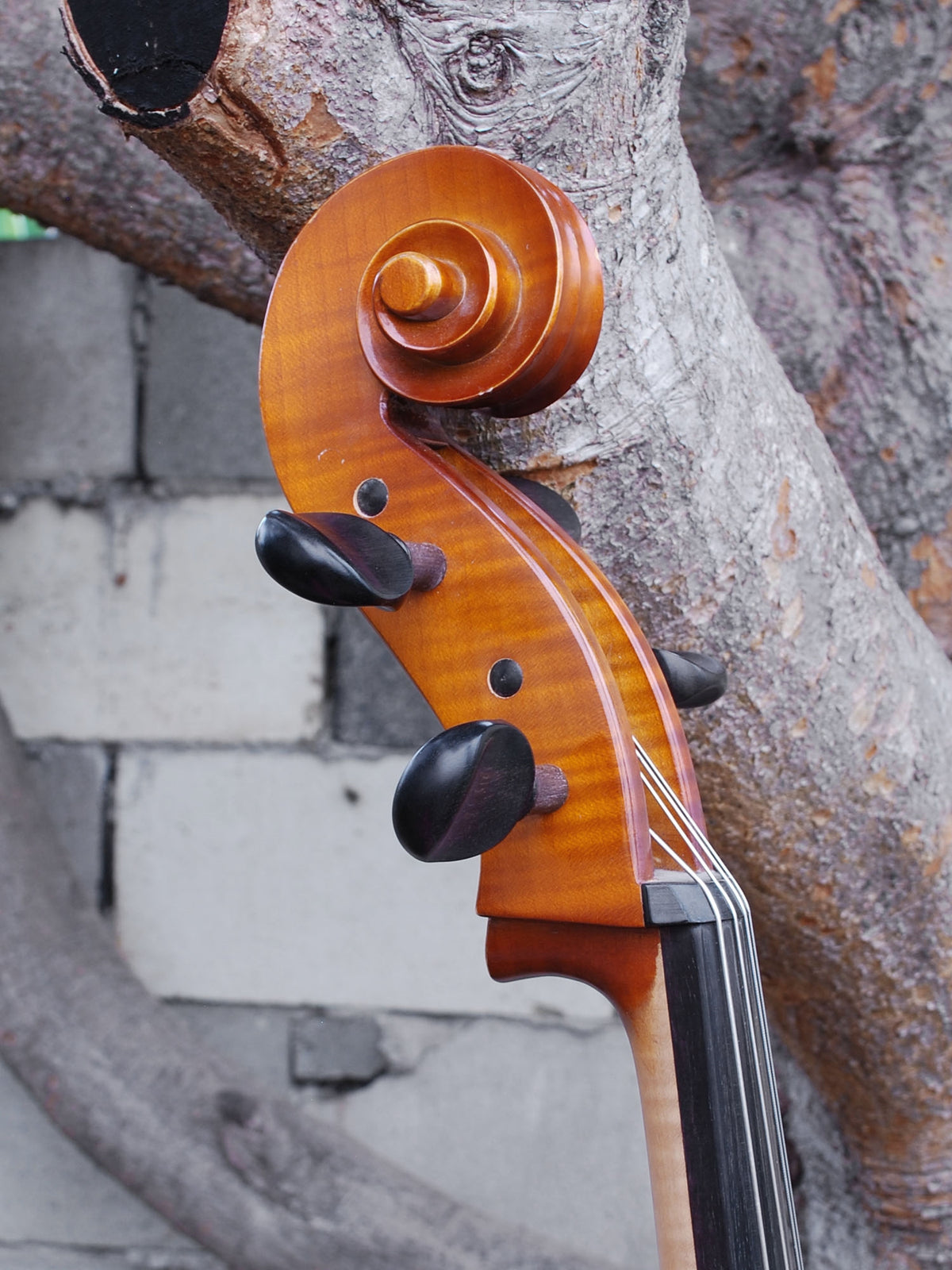 Lothar Semmlinger Cello 4/4 Cello