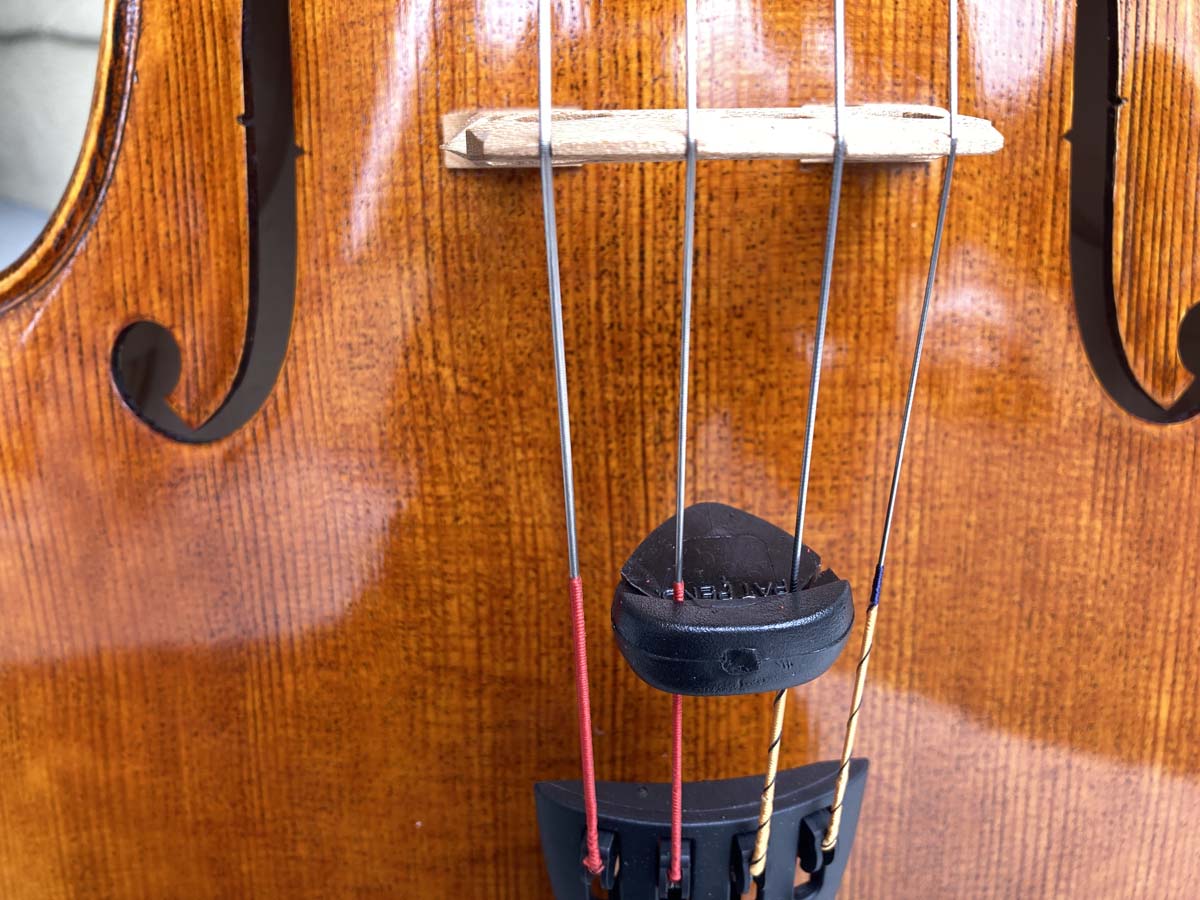 Polly Mute for Cello