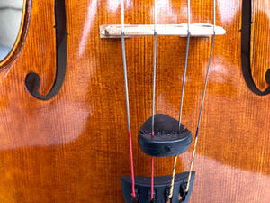 Polly Mute for Cello