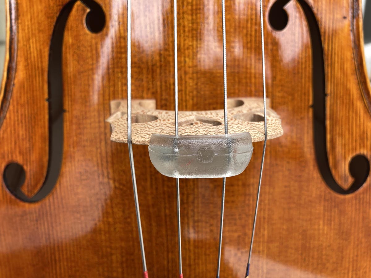 Polly Mute for Cello