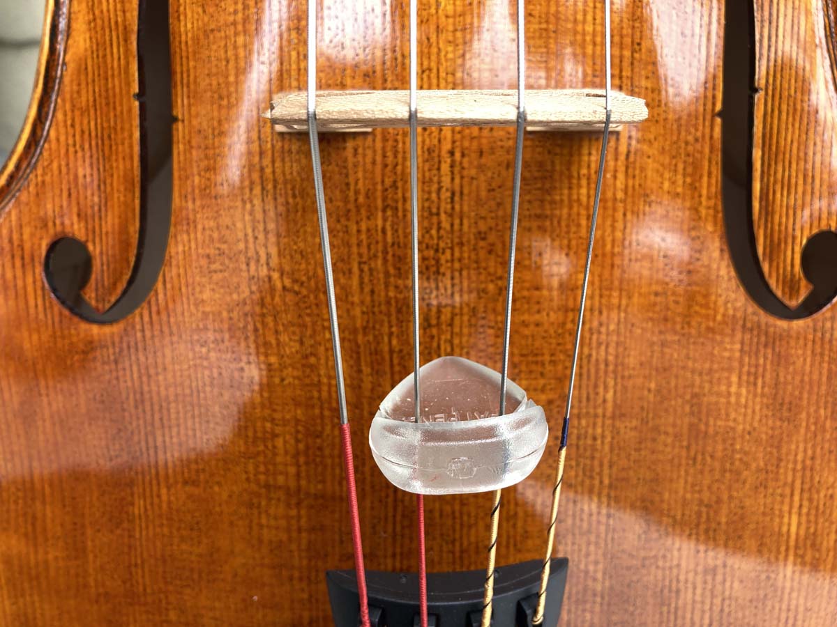 Polly Mute for Cello