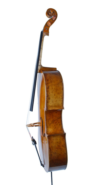 Topa Workshop Bird's Eye Maple 4/4 Cello