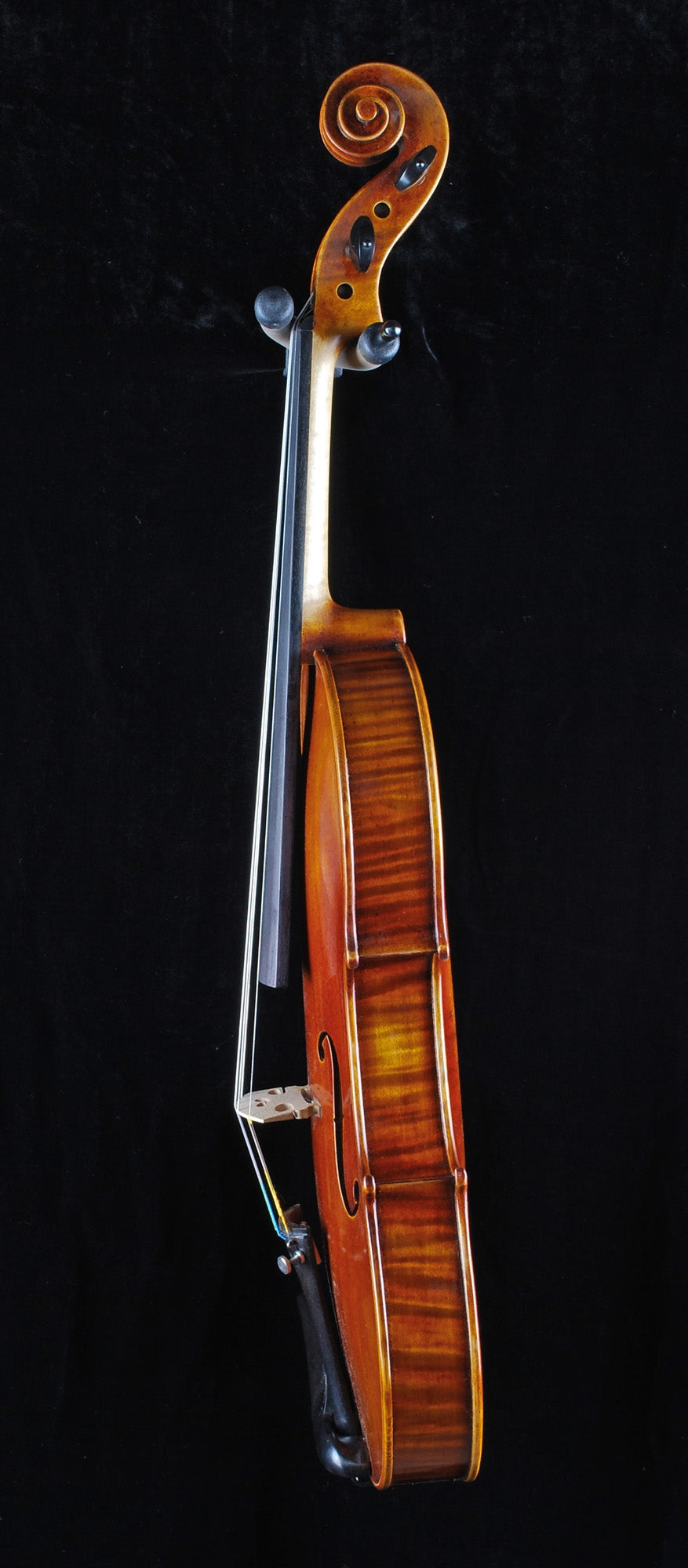Vivo Vivace Guarneri del Gesu 1743 copy - 4/4 VIOLIN