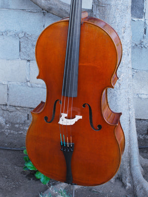 Vivo Zetoni model 100 4/4 Cello