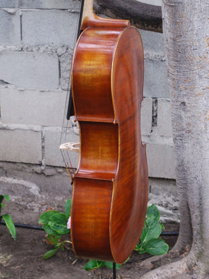 Hans Werner 725 'Master' 4/4 Cello