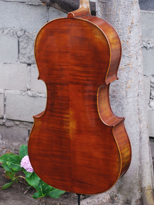 Hans Werner 725 'Master' 4/4 Cello