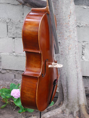 Hans Werner 725 'Master' 4/4 Cello